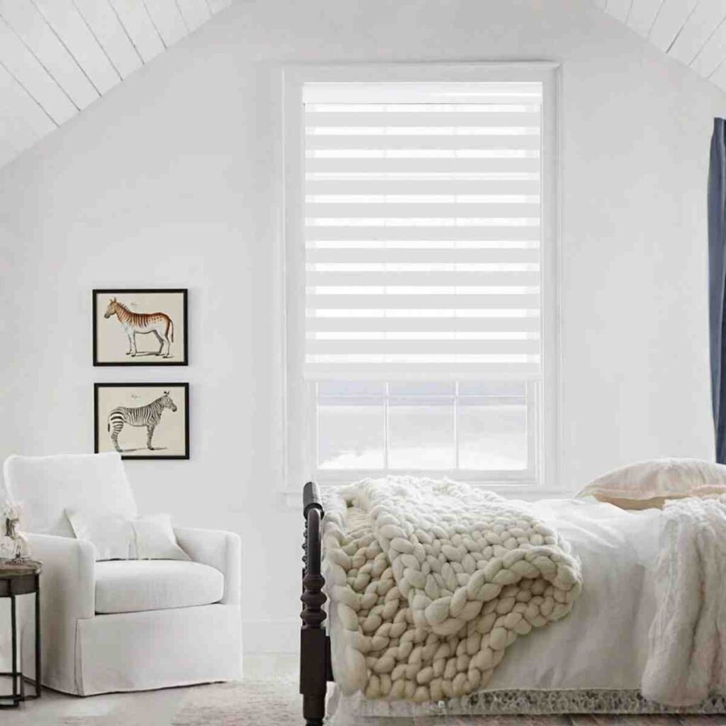 Joydeco modern white dual shade allowing for adjustable light filtering and privacy levels.
