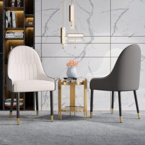 Set of two modern dining chairs set featuring ergonomic design and metal legs.
