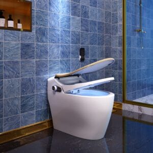Floor-mounted smart toilet with bidet featuring auto open/close lid and heated seat.